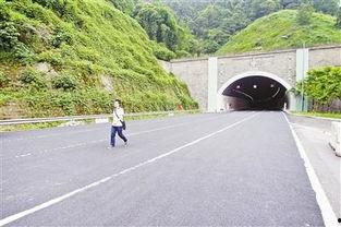 真武山隧道爆料视频最新,最新爆料视频深度解析