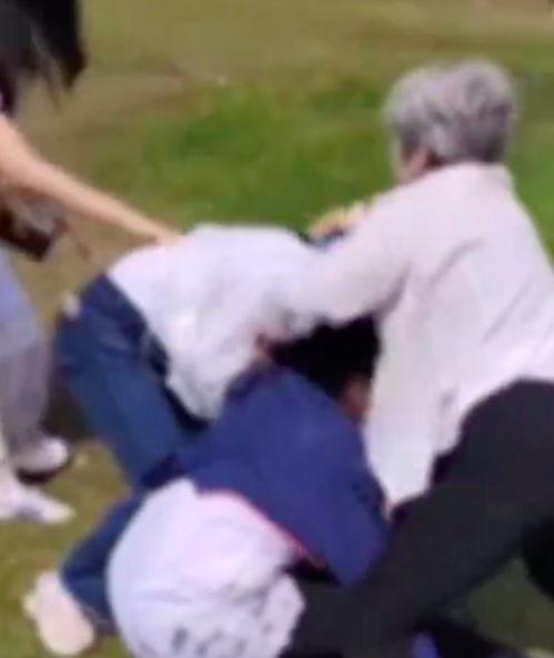 老太太爆料视频大全最新,真实事件背后的惊人真相